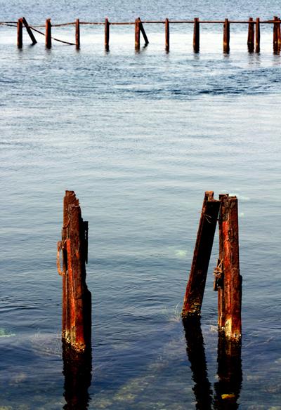 « Il n’y a que le temps qui ne perde pas son temps ». Jules RENARD