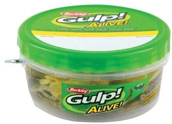 Conditionnement des Gulp Alive
