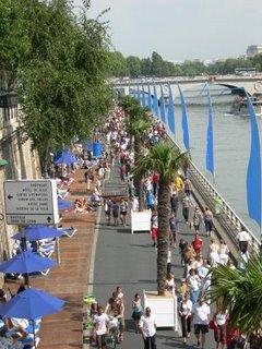 Paris plages et ses 33 palmiers