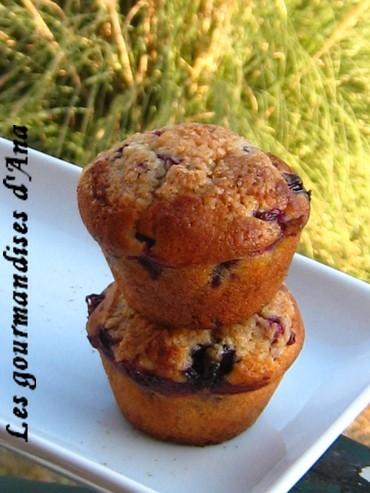 Séduite par Bob : le meilleur muffin à la myrtille... myrtilles 12.jpg