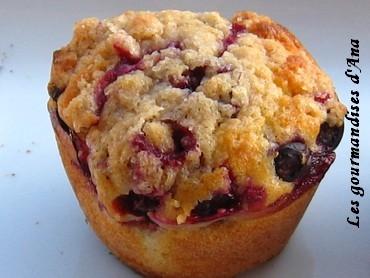 Séduite par Bob : le meilleur muffin à la myrtille... myrtilles 10.jpg