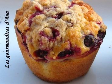 Séduite par Bob : le meilleur muffin à la myrtille... myrtilles 9.jpg
