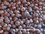 Le temps des confitures 1 : autour des fruits rouges myrtilles 1.jpg