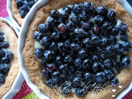 Tarte aux myrtilles sauvages Tartemyrtilles