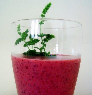 La Fureur des Vivres : les fruits rouges # 6