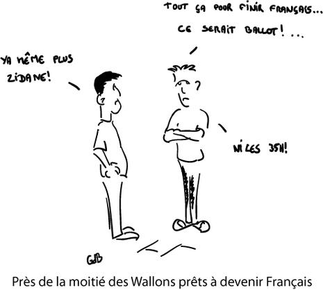 Près de la moitié des Wallons prêts à devenir Français