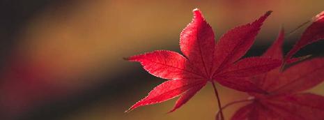 Quatres blogs à Visiter Image hébergée par servimg.com