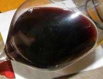 copie-de-p7270038