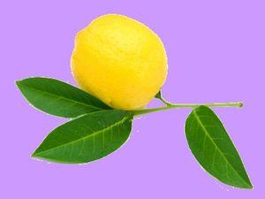 Tarte au citron façon Eryn Sans_titre_True_Color_02