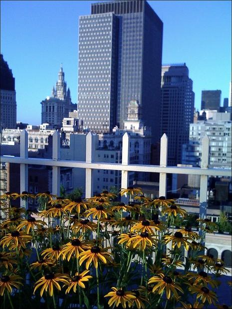 Ristretto ou chagrin du matin... Ristretto ou chagrin du matin...