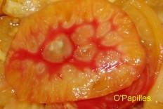 La tomate ananas tomates-ananas02.jpg