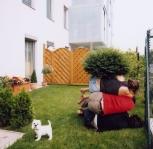 bodies in urban spaces, Willi Dorner