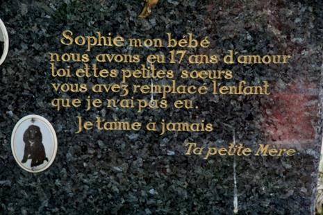 Un cimetière (pas) comme les autres cimetière des chiens 025