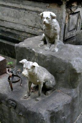 cimetière des chiens 010