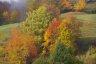 Photo Album: couleurs d'automne... en Vanoise et dans le Vercors