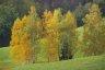 Photo Album: couleurs d'automne... en Vanoise et dans le Vercors