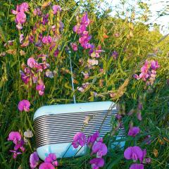 transistor_a_utiliser Ondes Vertes Radio