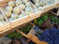 Marchés de Provence