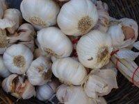 Marchés de Provence