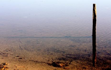 ” L’extraordinaire nous attire un instant, la simplicité nous retient plus longtemps, parce que c’est en elle seule que réside l’essentiel. ” Garry WINOGRAND