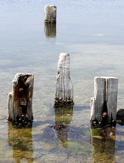 ” L’extraordinaire nous attire un instant, la simplicité nous retient plus longtemps, parce que c’est en elle seule que réside l’essentiel. ” Garry WINOGRAND