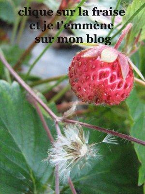 Après la St. Amour - Après la St. Amour, c’est la St....