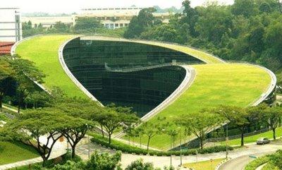 Toboggan de verdure à Singapour