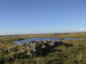 Des nouvelles du Pays Doré