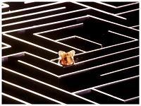 Vieux Billets : septembre octobre 2005