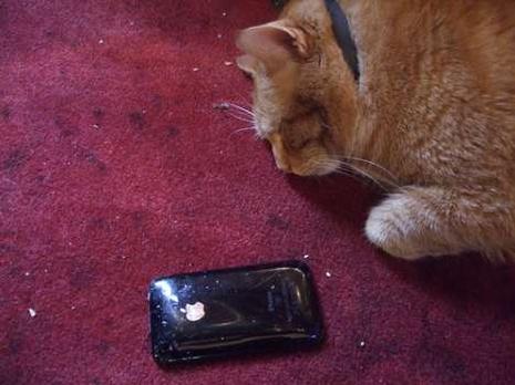 iPhones cassés iPhones cassés