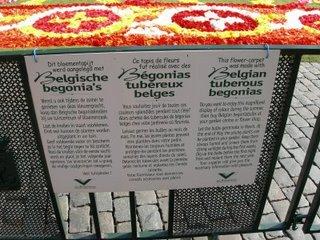 Tapis de fleurs à Bruxelles pour le week-end du 15 août