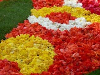Tapis de fleurs à Bruxelles pour le week-end du 15 août