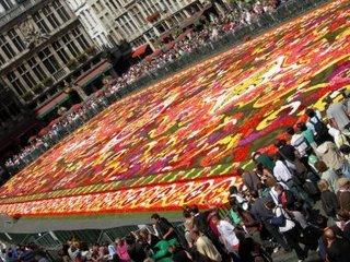 Tapis de fleurs à Bruxelles pour le week-end du 15 août