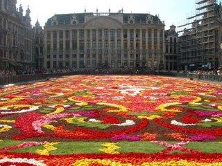 Tapis de fleurs à Bruxelles pour le week-end du 15 août