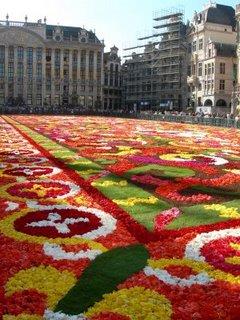 Tapis de fleurs à Bruxelles pour le week-end du 15 août