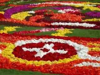 Tapis de fleurs à Bruxelles pour le week-end du 15 août