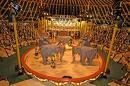 Creuse: valdi le plus petit cirque au monde