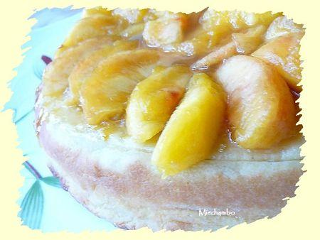 Gâteau aux Pêches et Amandes, Féerie des eaux 1
