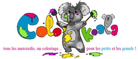 ColoKoala et déboires électriques