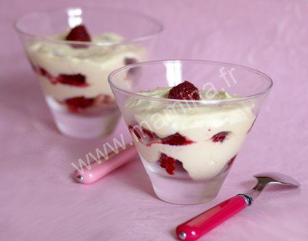 TIRAMISU_aux_FRAMBOISES