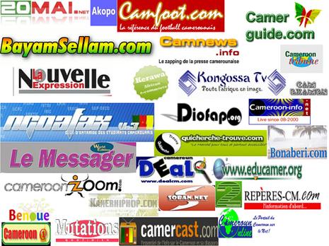 La carte du web camerounais