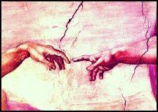 107°.   Créationnisme contre Conseil de l'Europe: 1 - 0