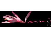 Venez découvrir Beauté, Sensualité, Féminité, Volupté avec "VANILLE CREATION"