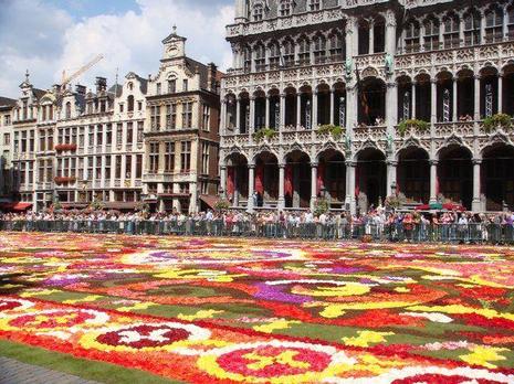 Tapis de fleurs sur la Grand Place de Bruxelles