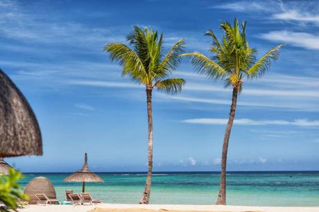 Comment l’île Maurice peut vous aider à soulager le stress et l’anxiété Comment l’île Maurice peut vous aider à soulager le stress et l’anxiété