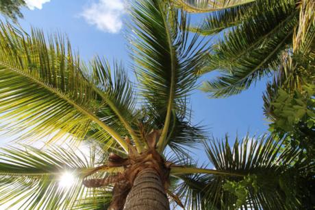 Comment l’île Maurice peut vous aider à soulager le stress et l’anxiété Comment l’île Maurice peut vous aider à soulager le stress et l’anxiété