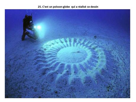 Divers - Phénomènes naturels - 2