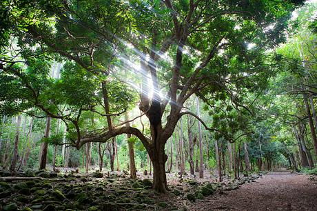 Le marché immobilier mauricien – une opportunité pour les investisseurs Le marché immobilier mauricien – une opportunité pour les investisseurs