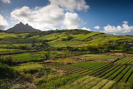 Comment Planifier votre Expatriation à l’île Maurice – Étapes Clés
