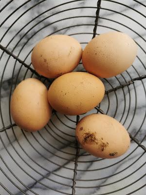 Creamed Eggs